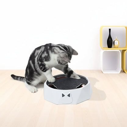Cat playing with a Diglett Electric Cat Toy on a white background