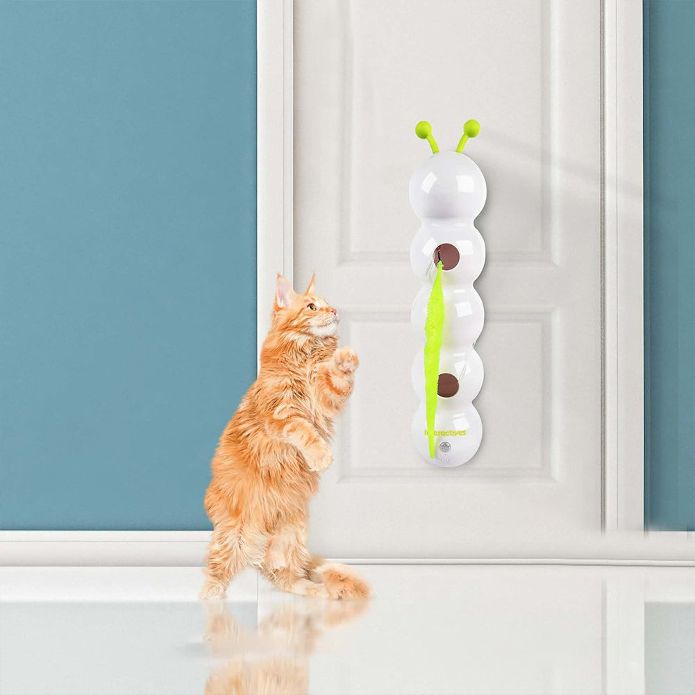 Cat playing with a hanging toy on a door