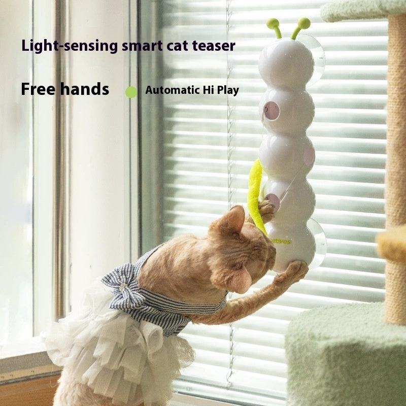 Cat playing with a light-sensing smart cat teaser toy near a window.