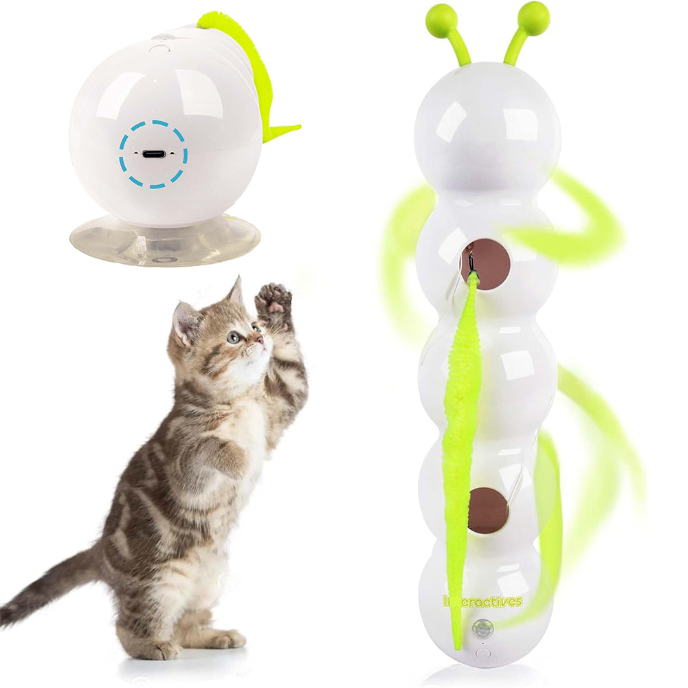Cat playing with a toy that resembles a caterpillar on a white background