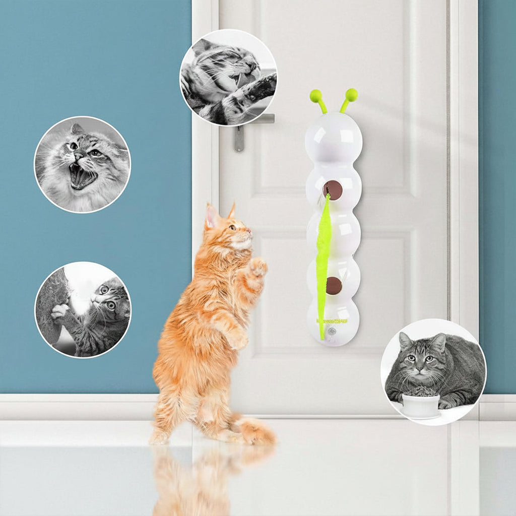 Cat toy hanging on a door with images of cats and text about cat behavior issues.