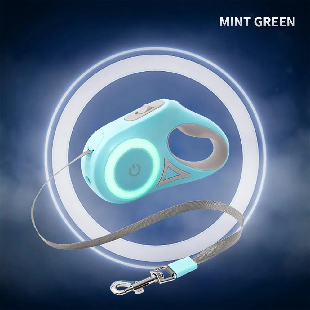 Mint green dog leash and retractable dog leash set on a dark background
