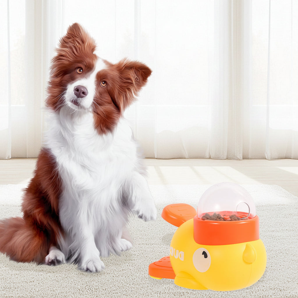 Dog with a yellow and orange toy, press to obtain enhance the concentration of dogs text